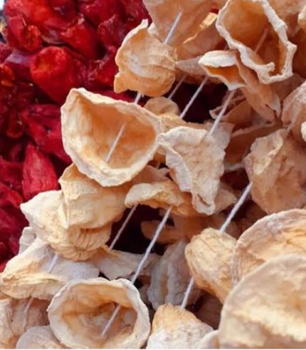 Kuruluk Dolmalık  Kabak