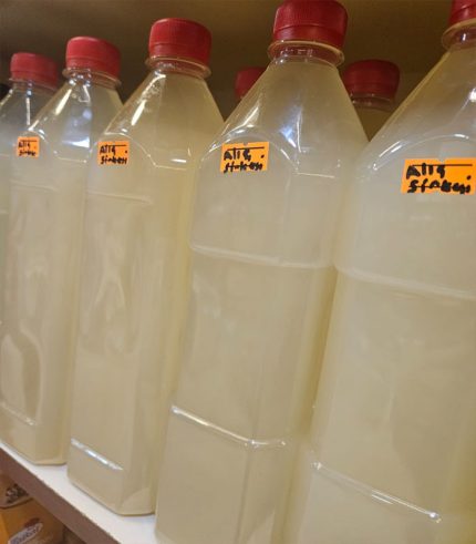 Alıç-sirkesi-ev-yapımı